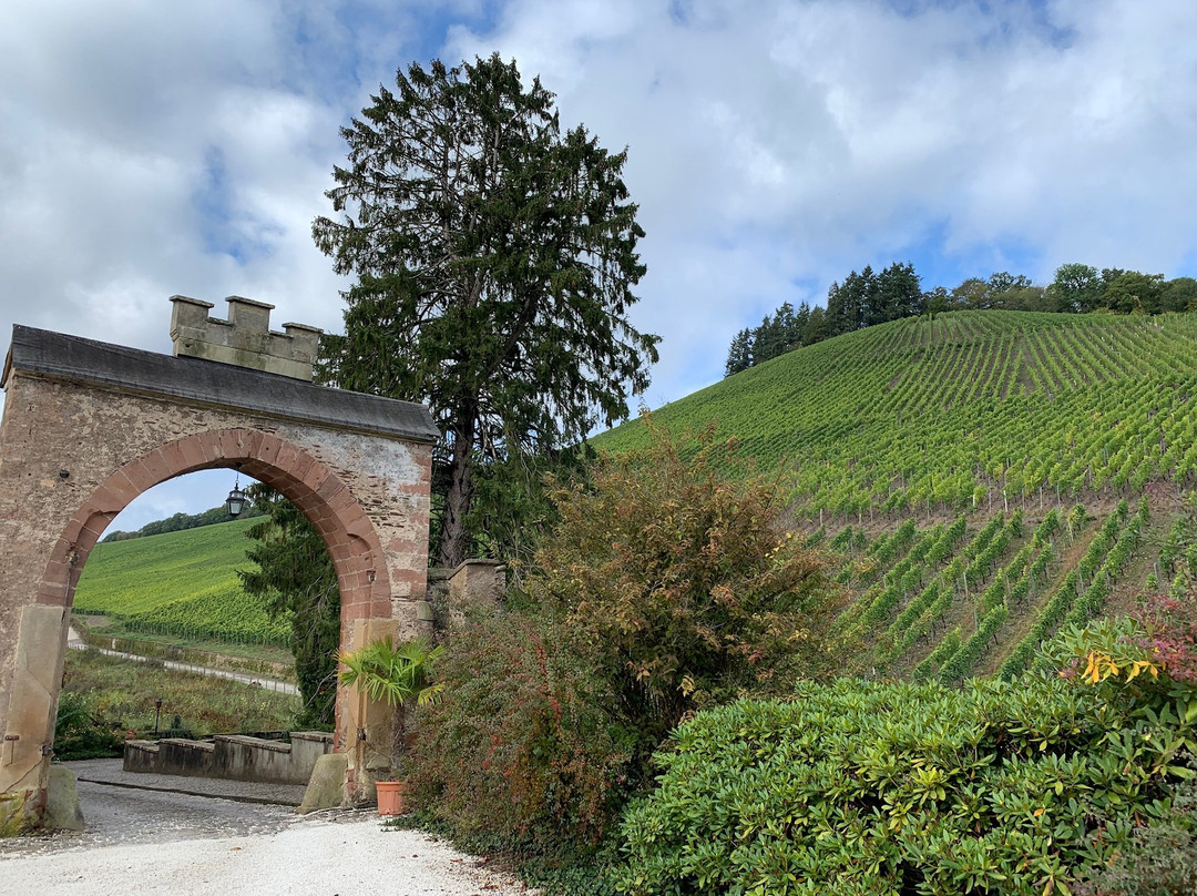 Weingut Maximin Grunhaus景点图片