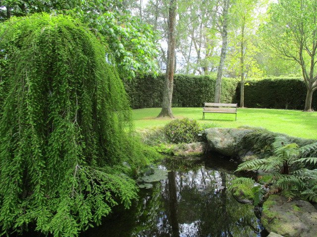 TreeChurch and Gardens景点图片