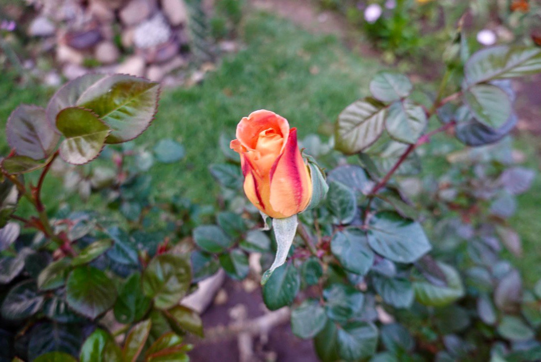 Hotel Portal del Santo Salta Cafayate主图