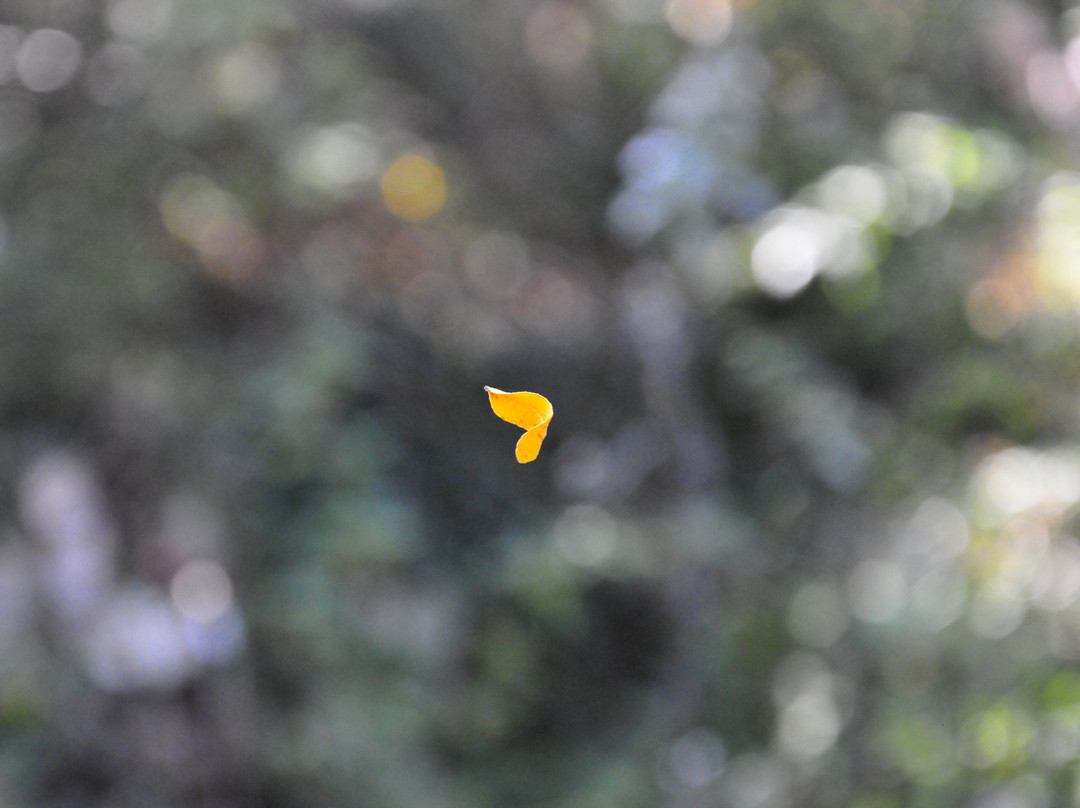 Giardini del Casoncello-Loiano必去景点