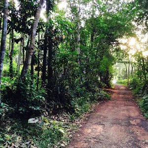 Atma Ayurvedasram景点图片