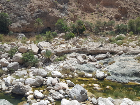 Arabian Desert Shadow-马斯喀特必去景点