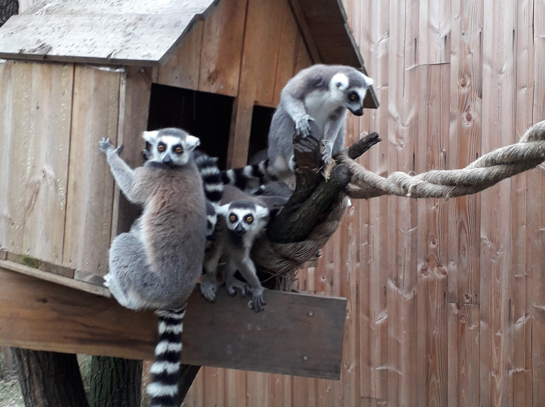 Zoo de Bordeaux Pessac-Pessac必去景点