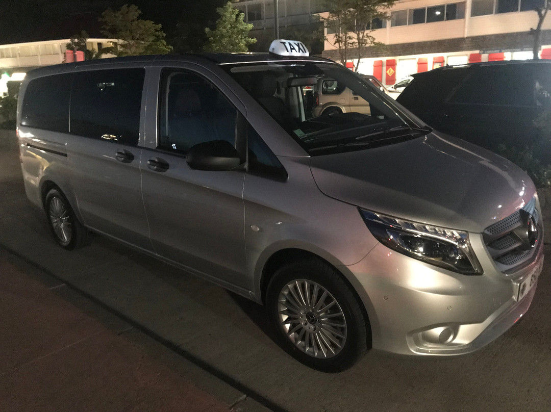 St-Barth’s VIP Taxi Services-圣巴托洛缪岛必去景点