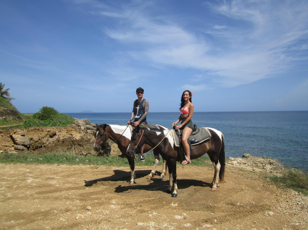 Horseback Rides by Pintos R Us-吕康必去景点