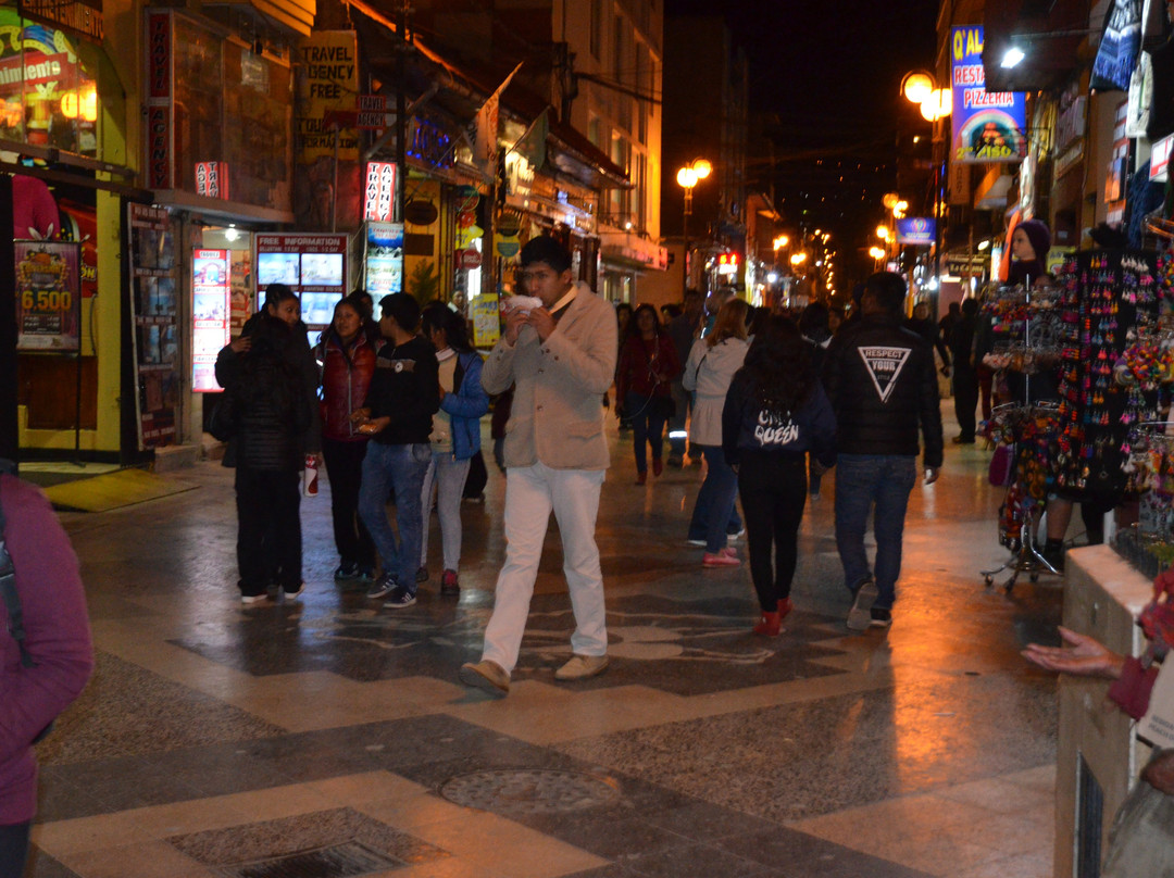 Parque Pino-普诺大区必去景点