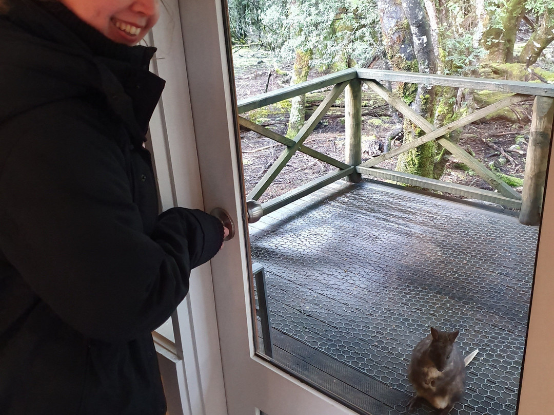 Peppers Cradle Mountain Lodge主图