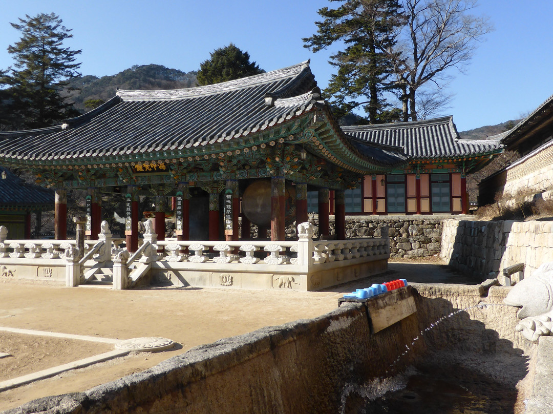 海印寺-陕州郡必去景点