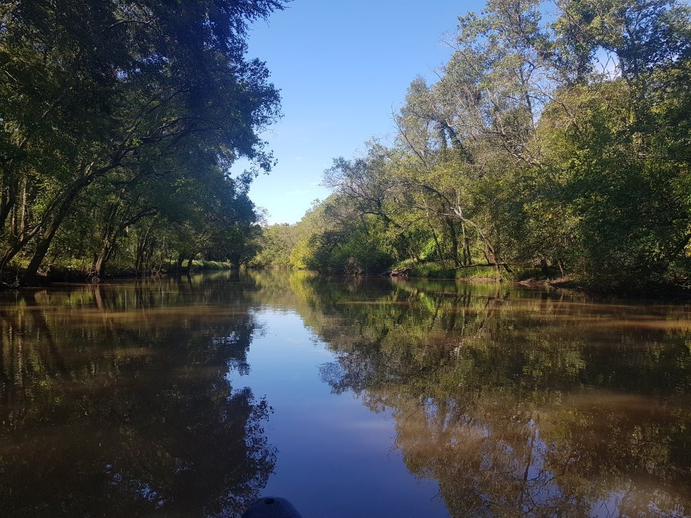 Bayou Teche Experience景点图片