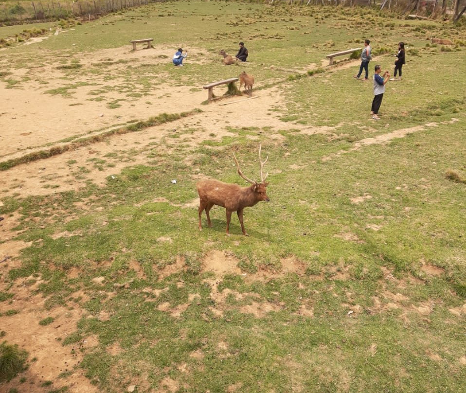 Kampung Cai Ranca Upas-万隆必去景点