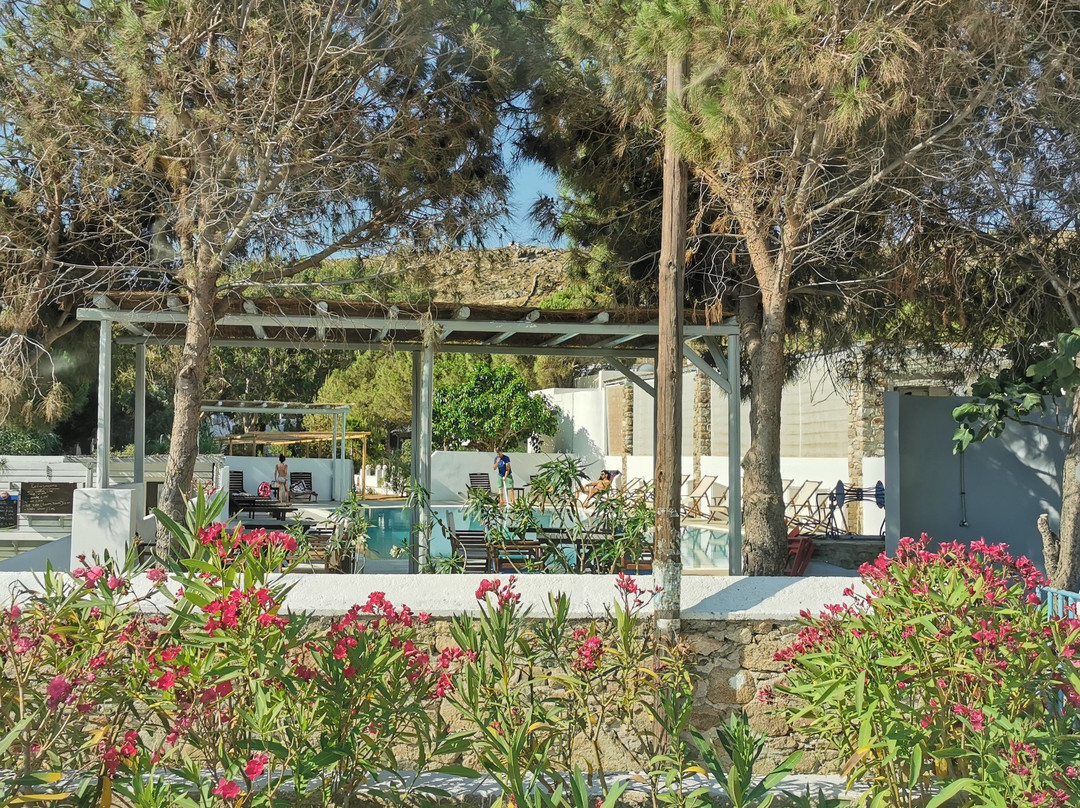 Coralli Camping主图