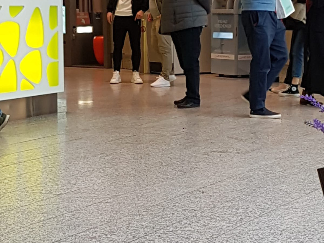 Weserpark-不莱梅必去景点