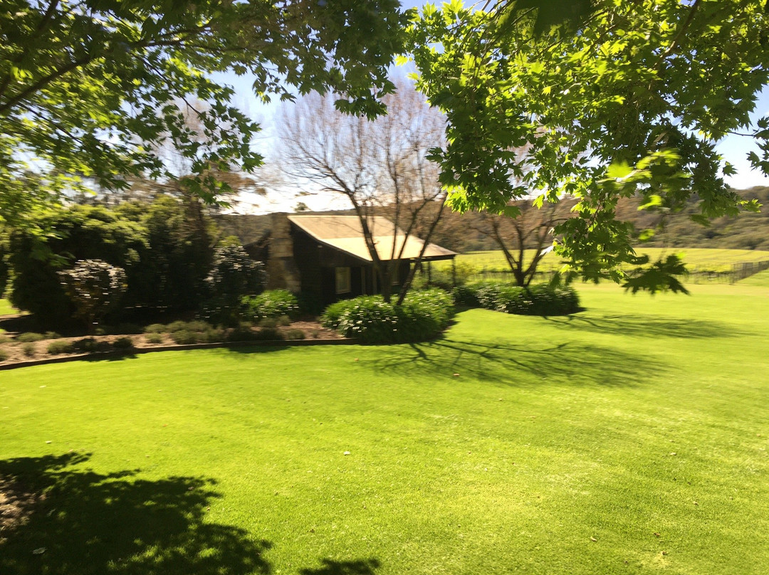 Brookland Valley Vineyard景点图片
