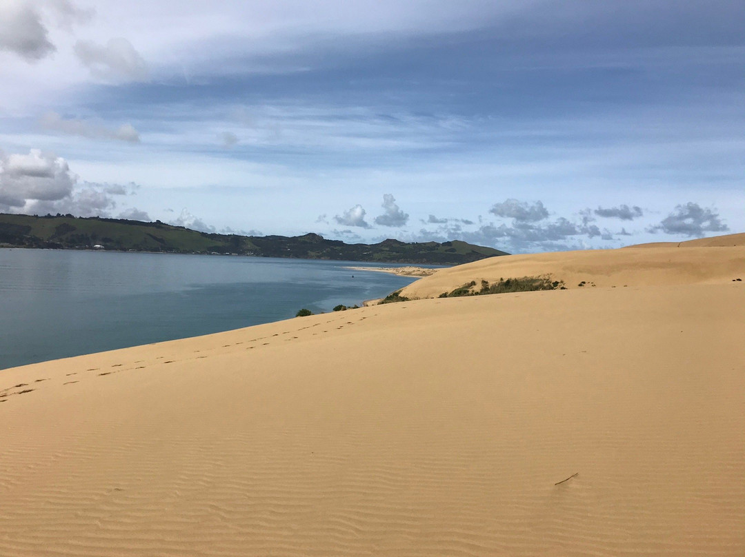 Hokianga Express Charters景点图片
