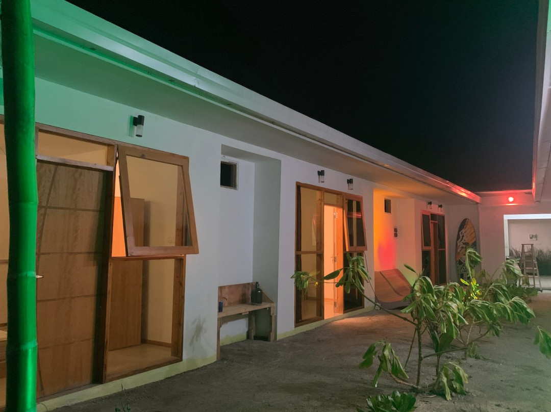 White Tern Maldives主图