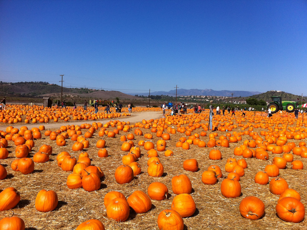 Underwood Family Farms - Moorpark