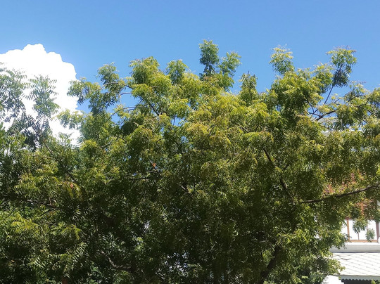 Udaya Tourist Cabs-朋迪榭里必去景点