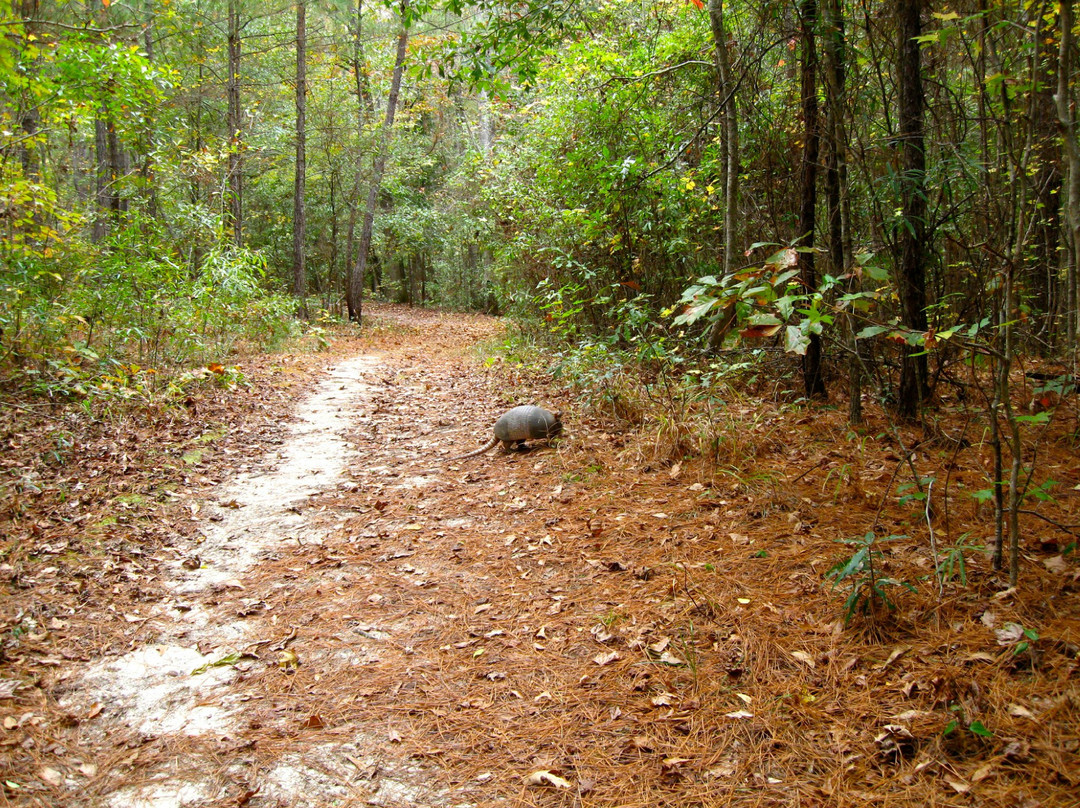 Kreher Preserve & Nature Center景点图片