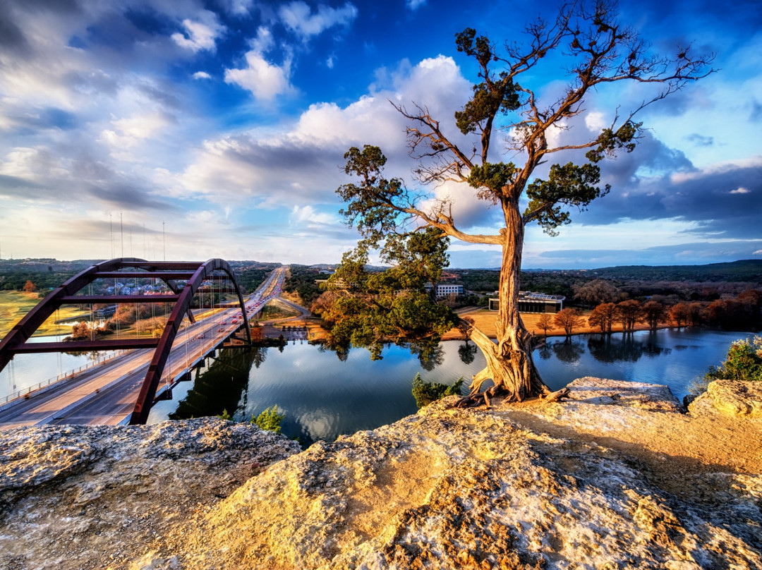 Gray Line Tours-奥斯丁必去景点