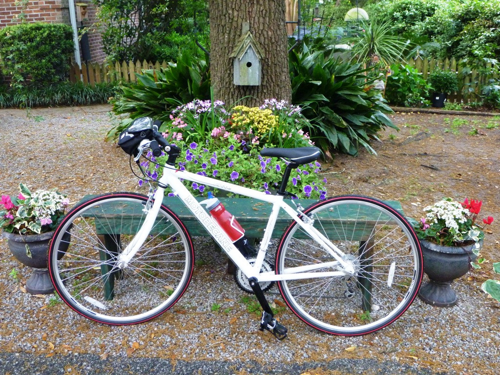 Charleston Bicycle Tours景点图片