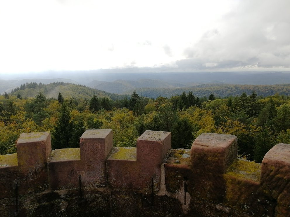 Tour Panoramique du Grand Wintersberg景点图片
