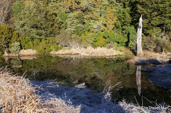 Governors Bush Walk-库克山村庄必去景点