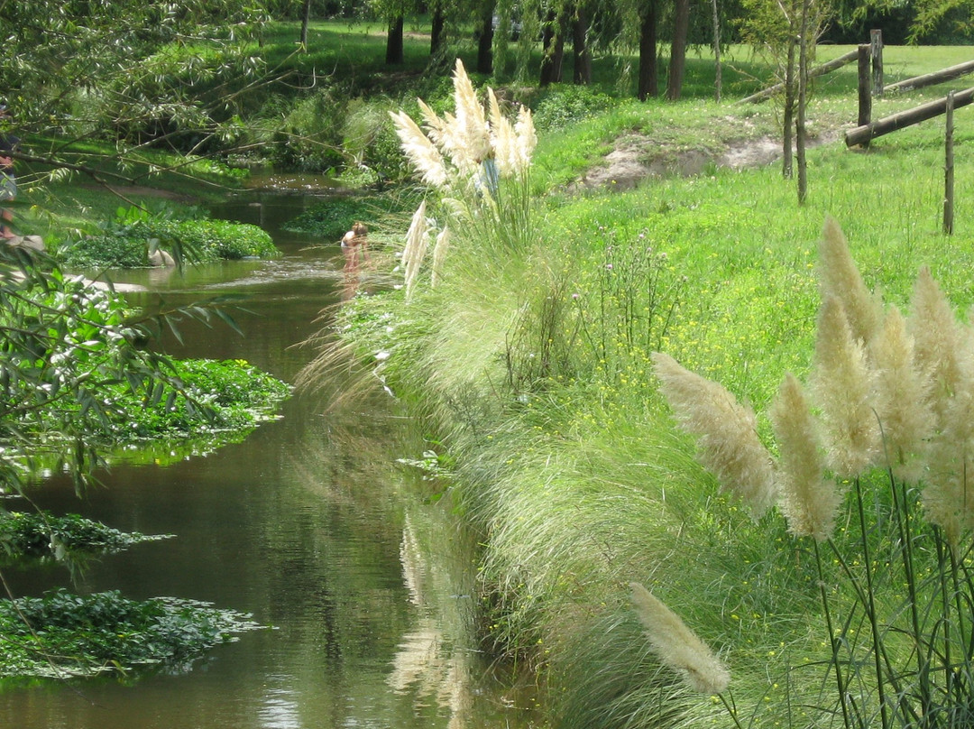 Guamini旅游景点-Parque Municipal Fortunato Chiaparra