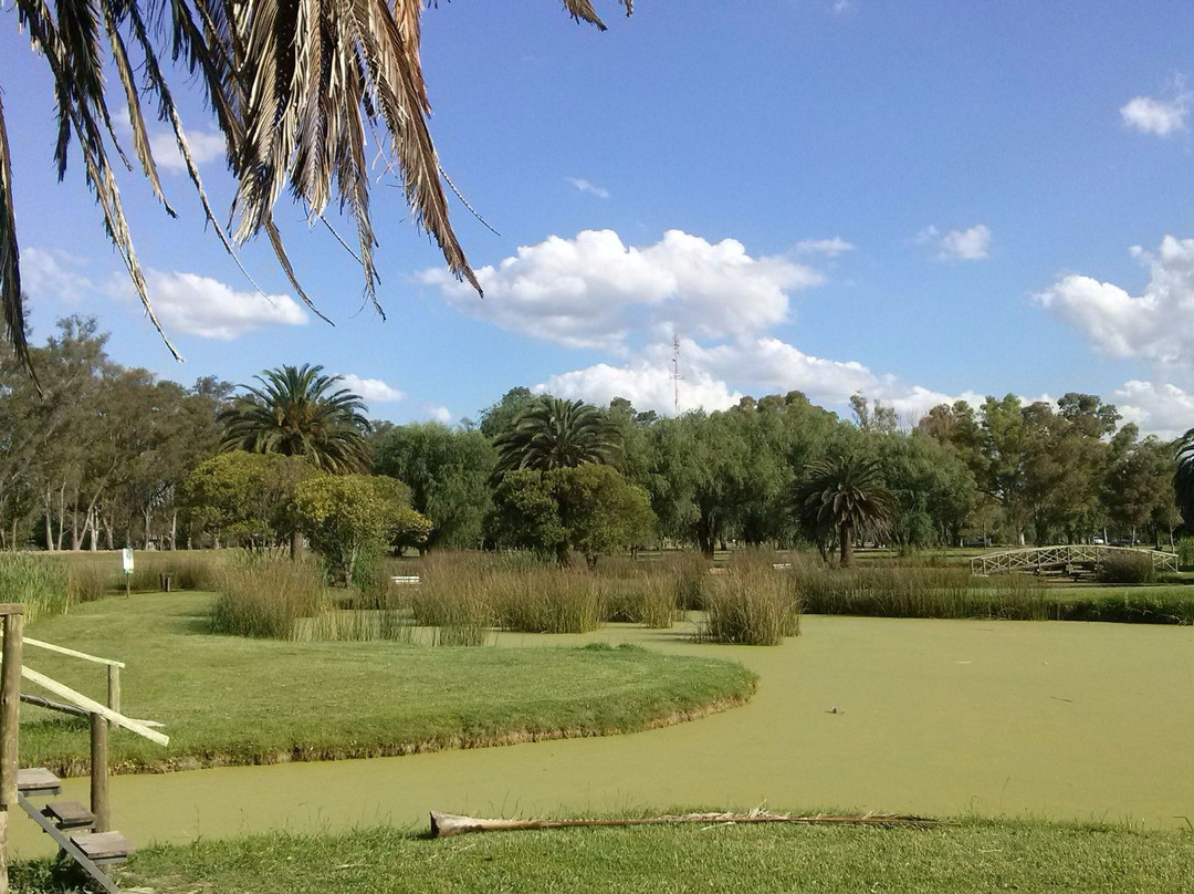 Navarro旅游景点-Laguna Navarro