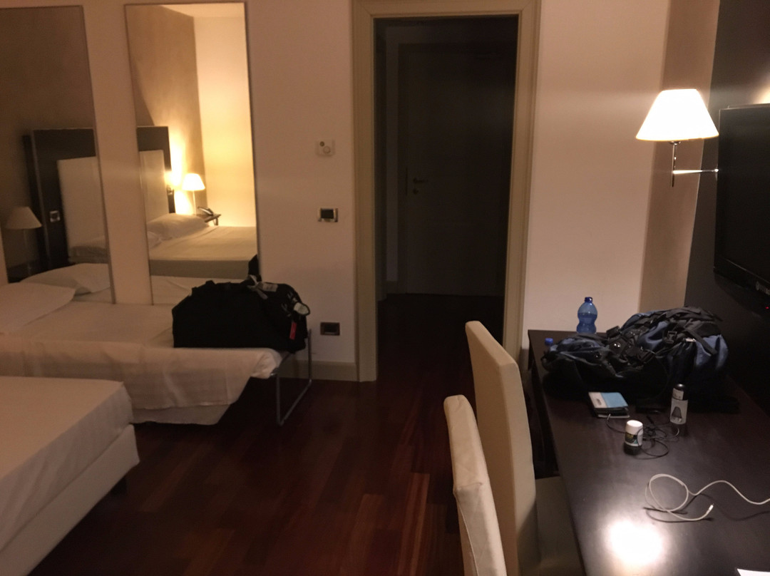 克雷莫纳皇宫酒店主图