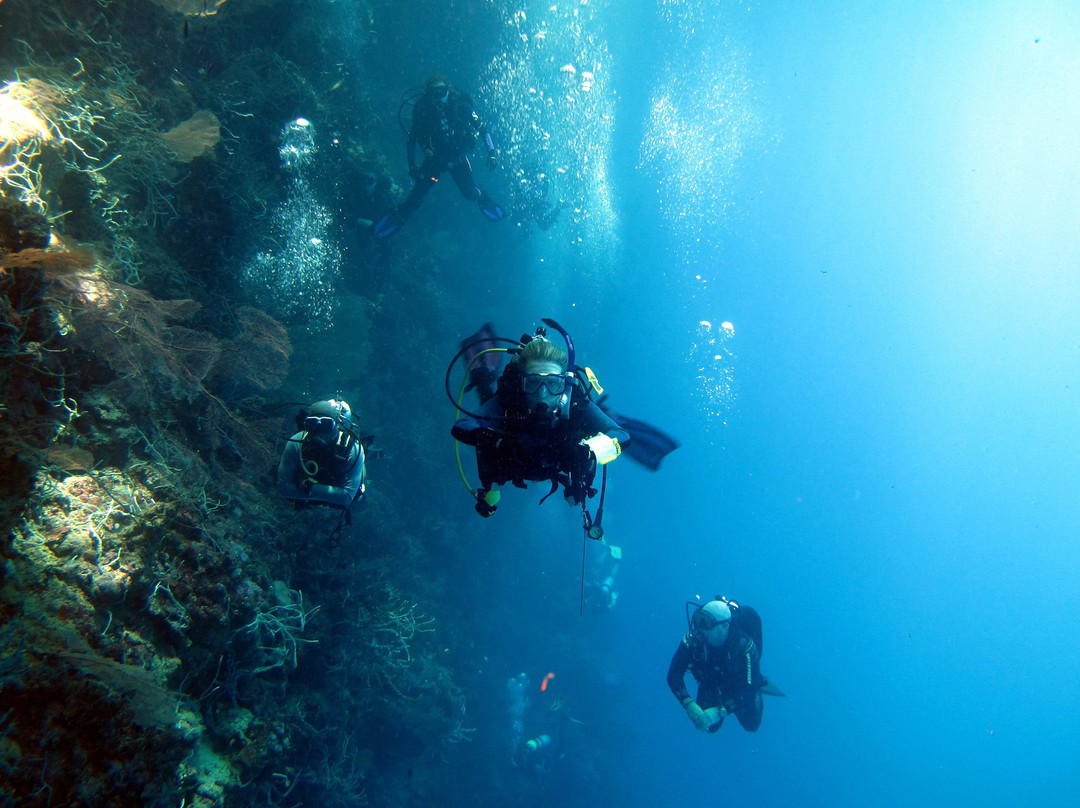 Dive Munda景点图片