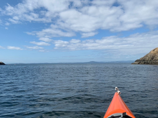 San Juan Kayak Expeditions-星期五港湾必去景点