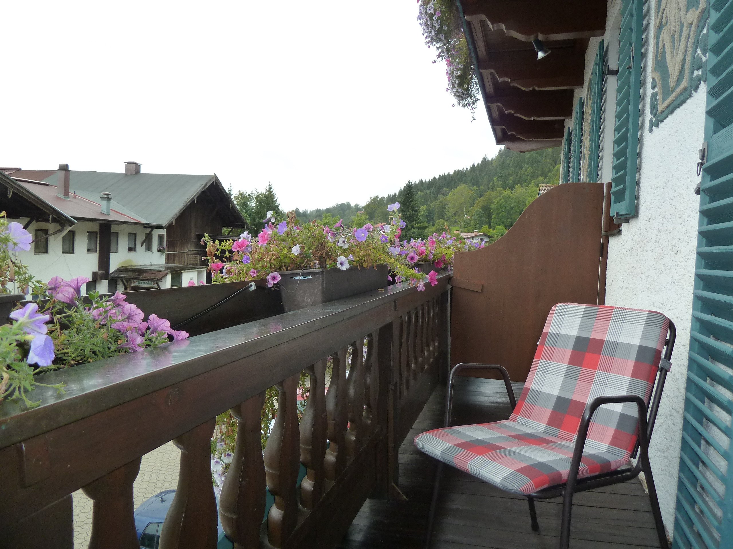 Hotel Edelweiss-酒店景观