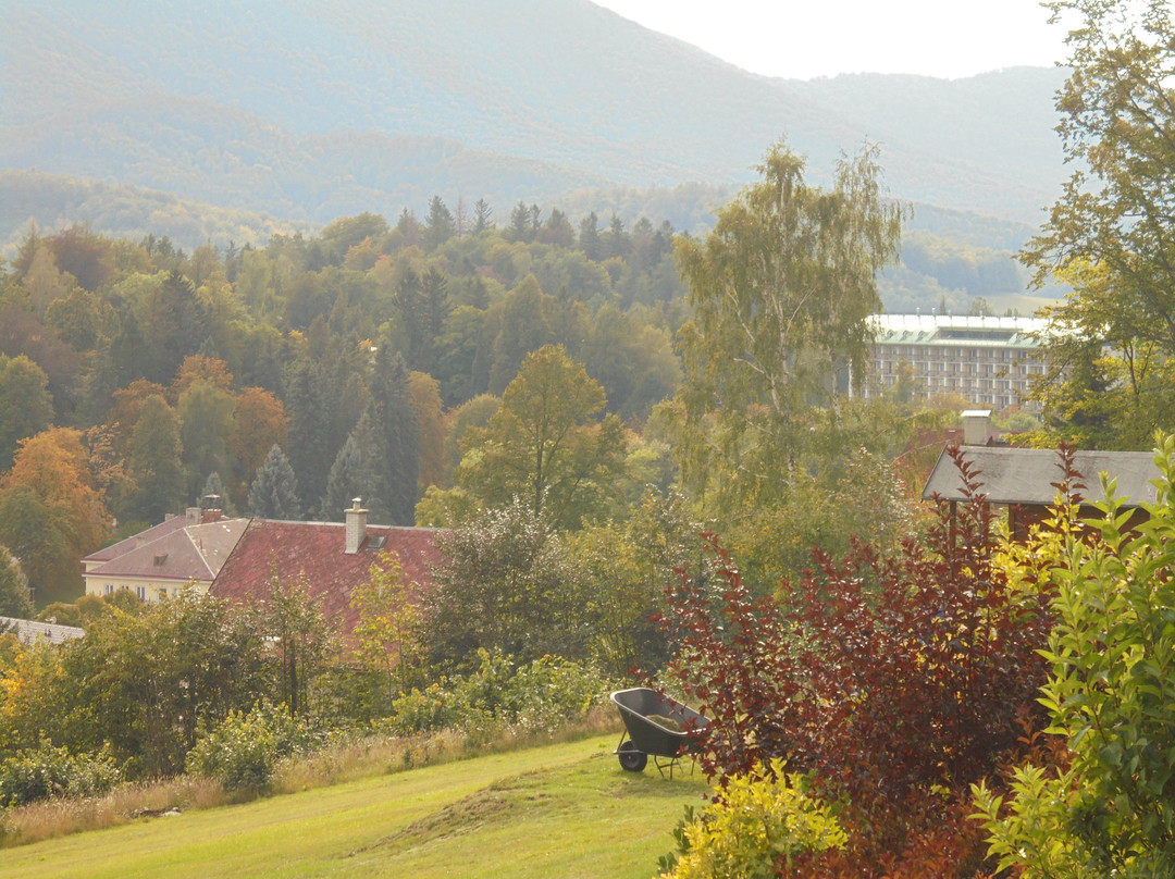 Spa Resort Libverda - Hotel Nový Dům主图