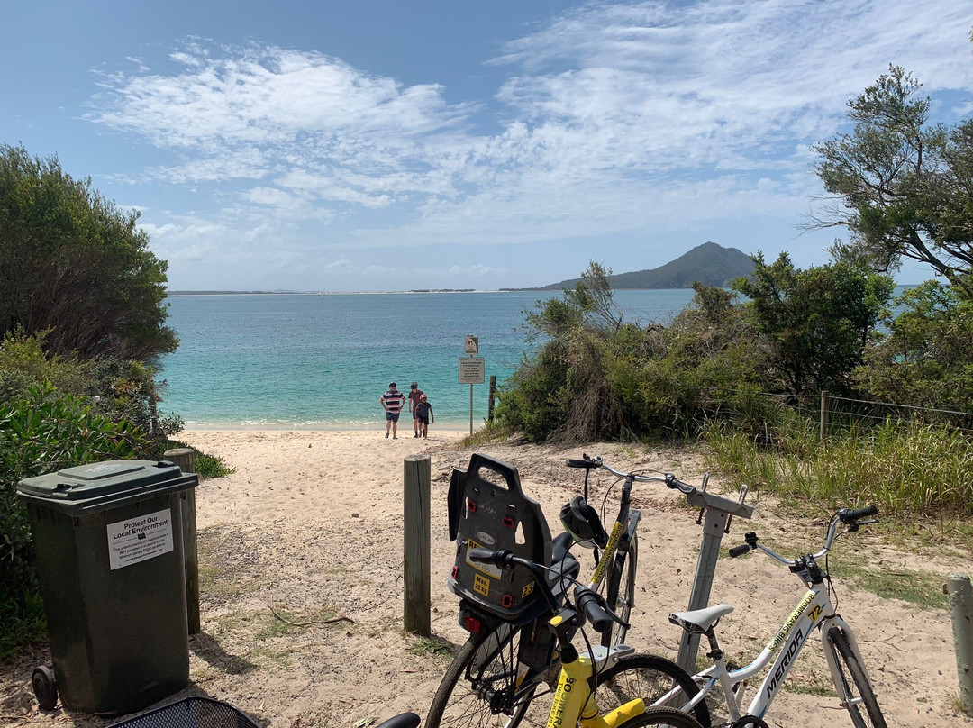 Boomerang Bikes-尼尔森湾必去景点
