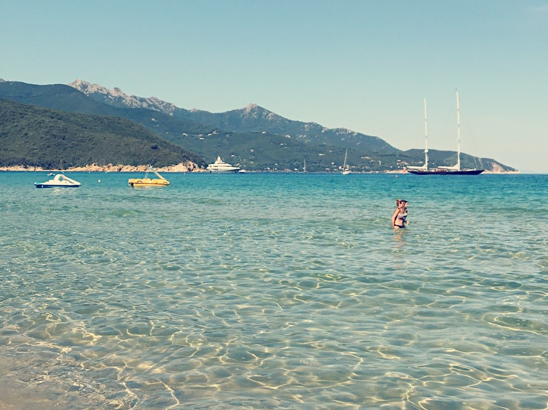 Diving in Elba Biodola景点图片