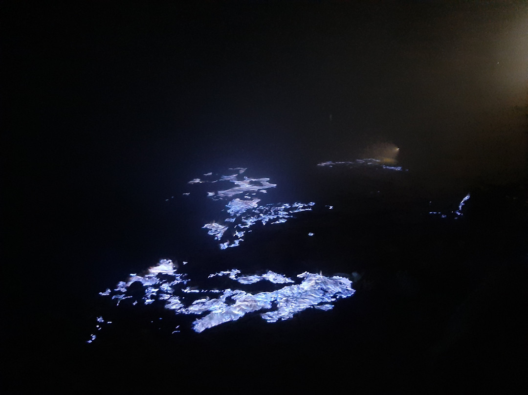 Kawah Ijen Guest House主图