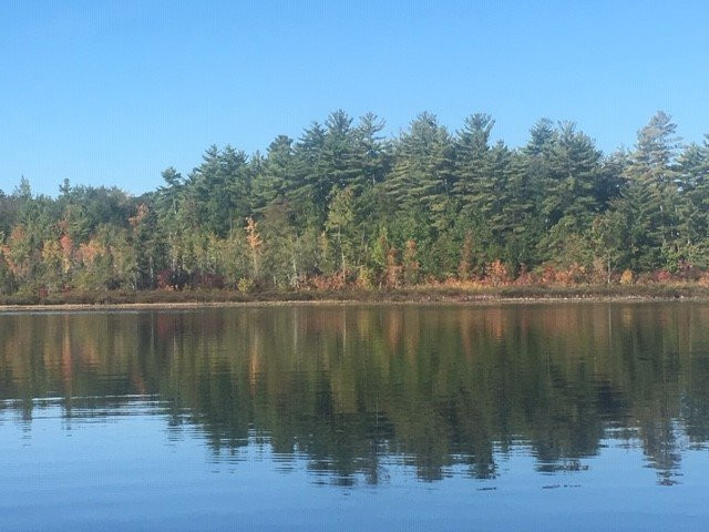 Bear Brook State Park景点图片