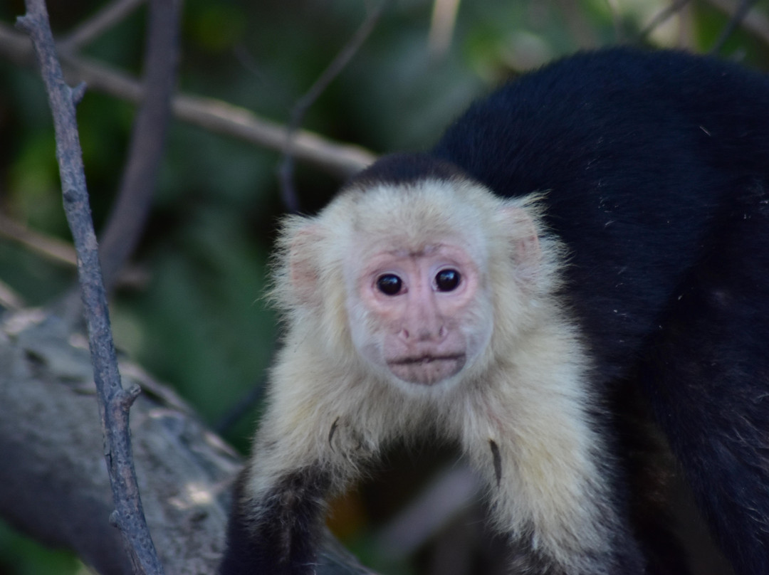 Gabriel´s Custom Tours-拔西里多必去景点
