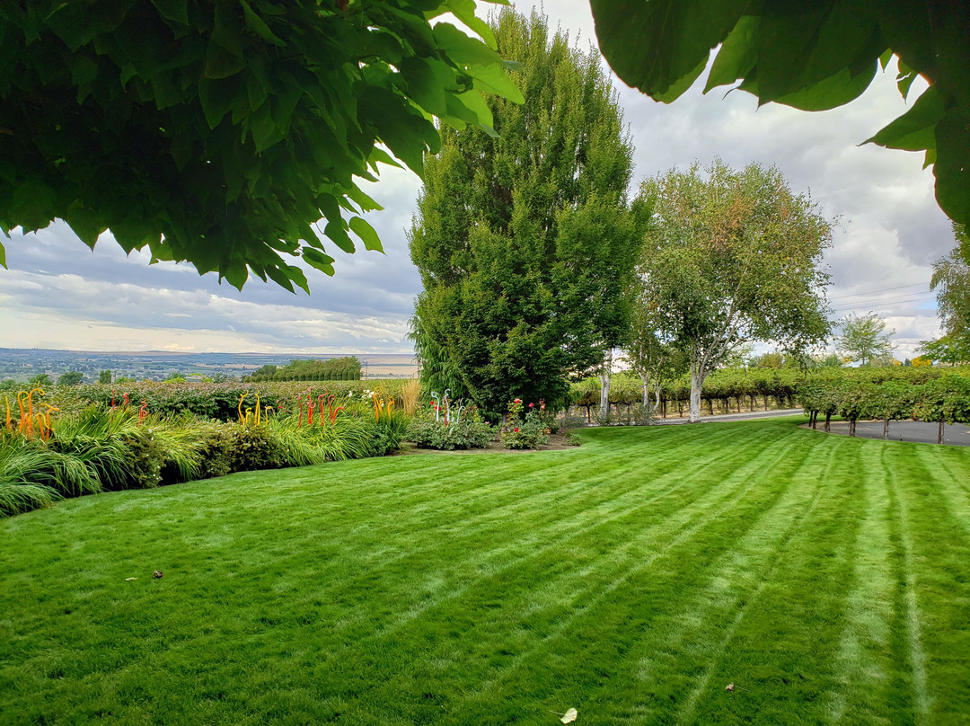 Hedges Family Estate景点图片