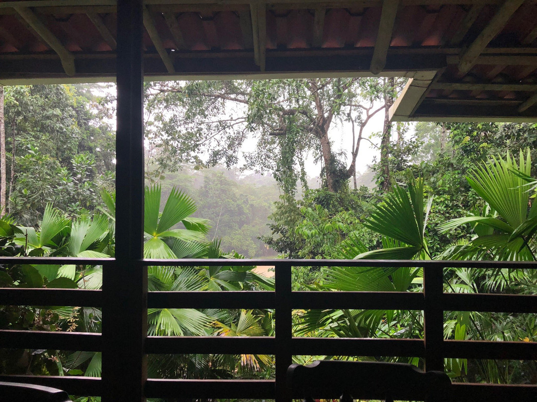 Selva Bananito Lodge