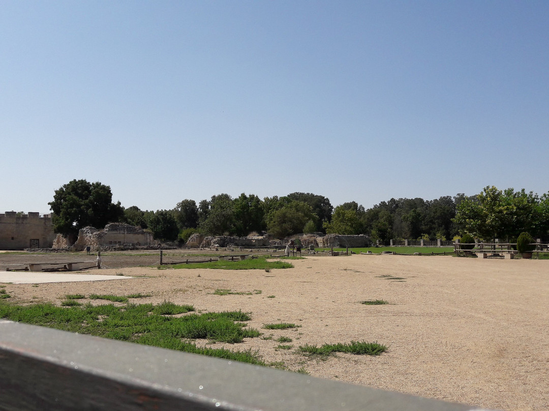 Monasterio Cisterciense de Matallana