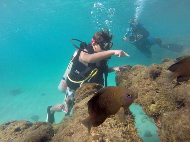 Porto Dive-伊波茹卡必去景点