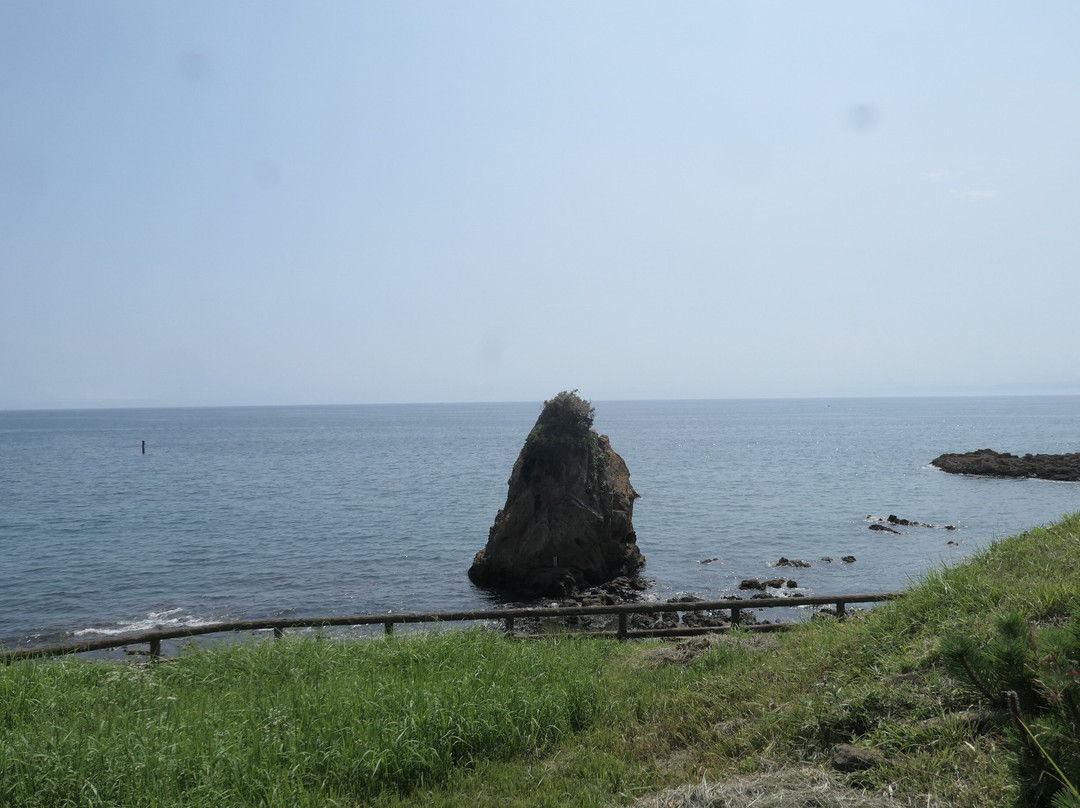 Tateishi Park景点图片