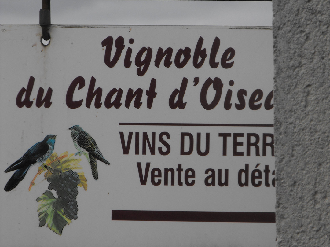 Vignoble du Chant d'Oiseaux-Mareau-aux-Pres必去景点