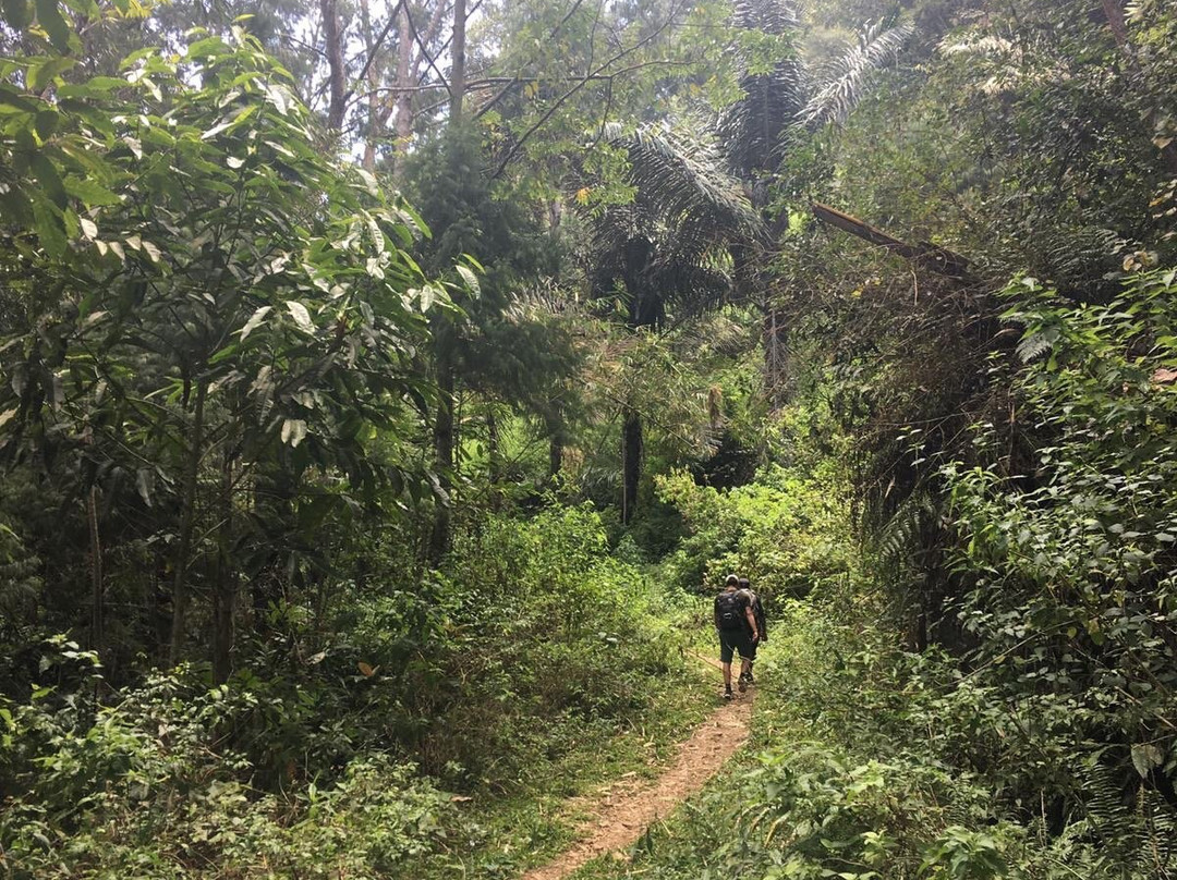 Ino Toraja Guide景点图片
