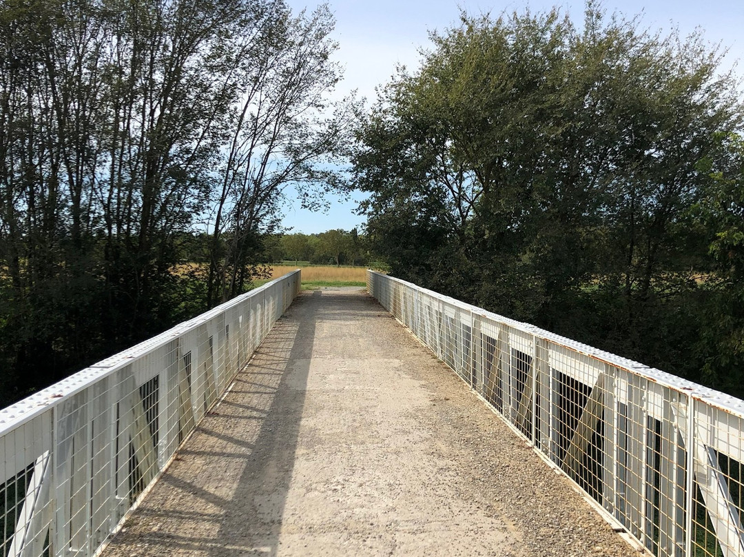 Il Sentiero della Bonifica-Civitella in Val di Chiana必去景点
