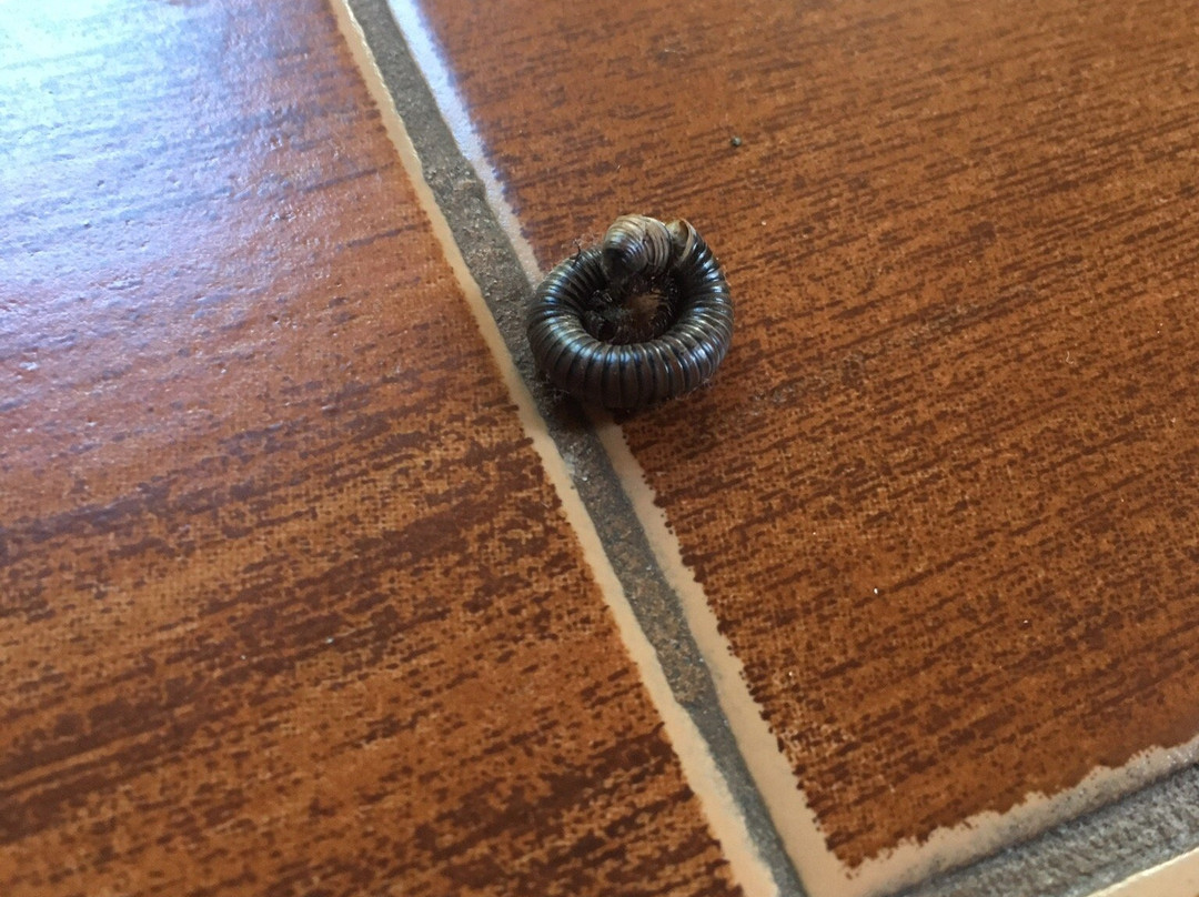 Nono Ban Hotel主图