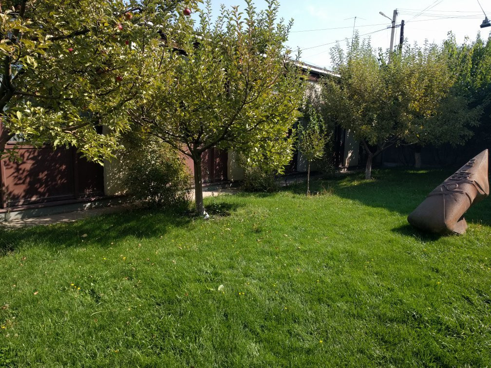 Berlin Art Hotel主图