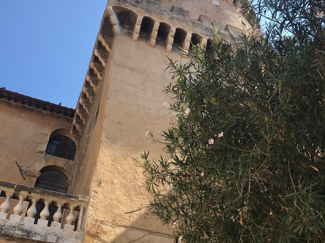 Castello Ducale Orsini-菲亚诺罗马诺必去景点