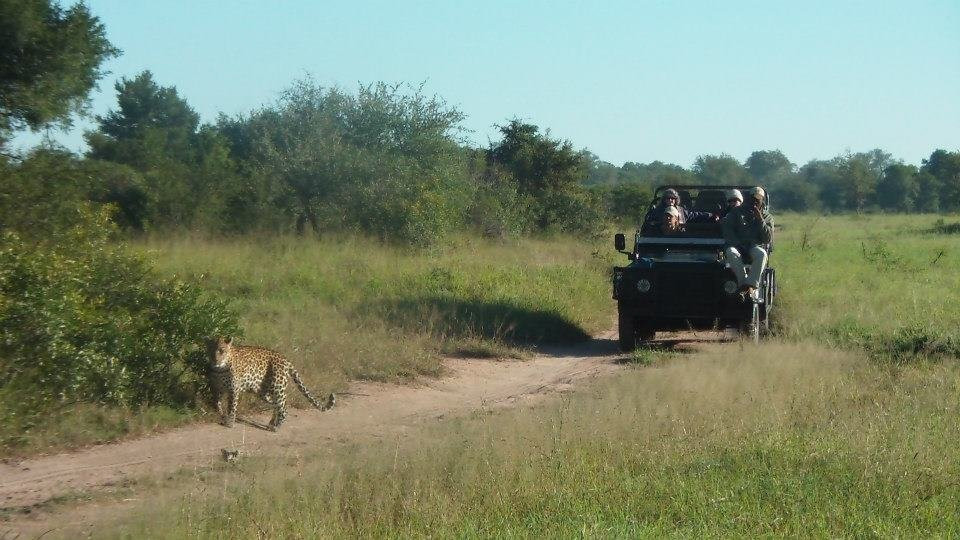 Sabi Sabi Selati Camp主图